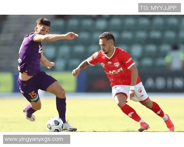 墨尔本胜利与惠灵顿凤凰对决分析及胜负推荐解析