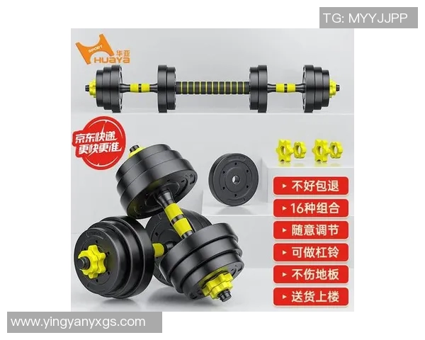 一对哑铃的市场价格分析及购买建议让你轻松选择合适的健身器材