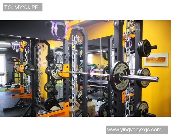 全面提升身体素质的健身器材与体育活动指南